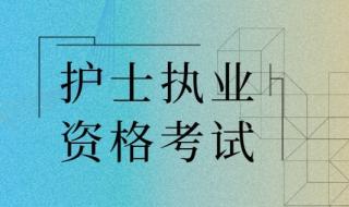 护士执业注册申请审核表填写模板